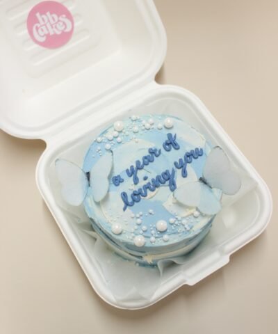 Ombré Butterfly - Blended Lunchbox Cake